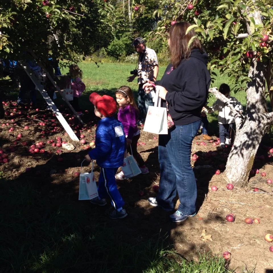 Parents and children fruit picking outdoors at a trusted childcare center in Three Rivers, MA